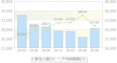国创高新(002377)股东户数变动图