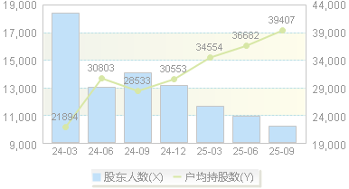 ST开元(300338)股东户数变动图