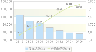 龙头股份(600630)股东户数变动图